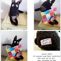 Un nouveau Raoul noir et gris!
