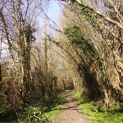 Les premières photos du Printemps