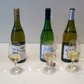 Le Chardonnay au sud de la France