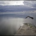 ambiance bassin d'arcachon