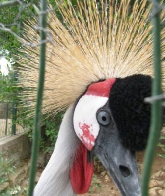 Six mois après une époque où le soleil vivait encore