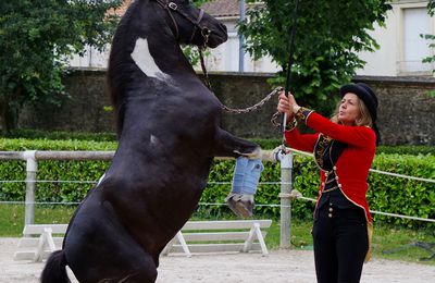 La petite cavalerie du Haras en spectacle 