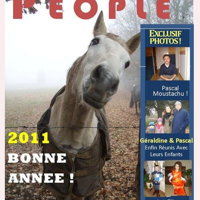 Bonne année 2011 !