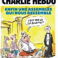 Enfin une Assemblée qui nous ressemble - Charlie Hebdo N°1299 - 14 juin 2017