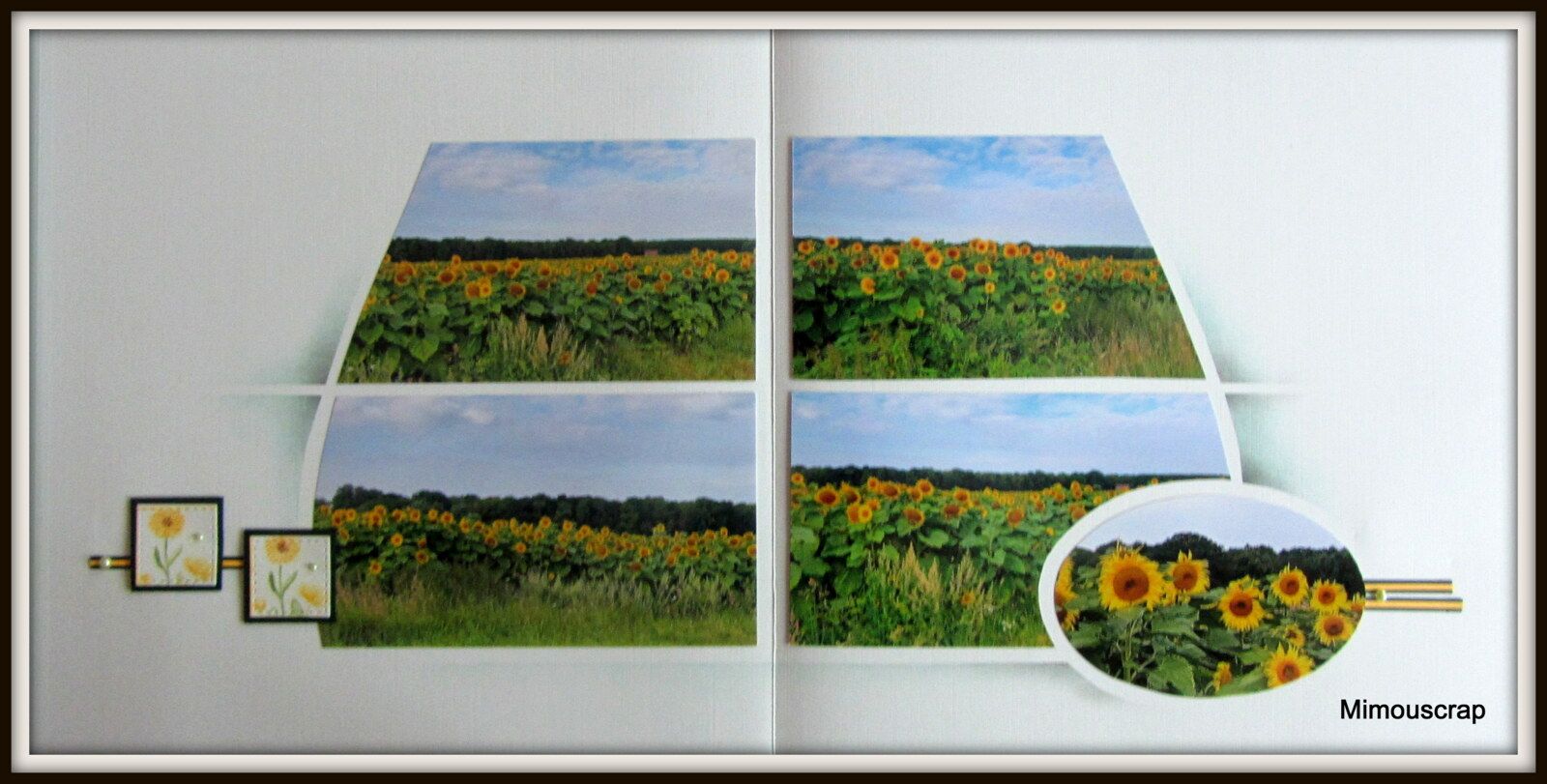 Tournesols 03