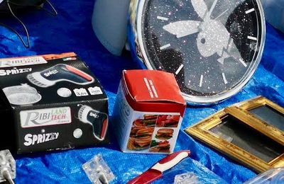 Fox around the clock ! (Kate)