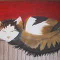 Chat tricolore   ( 35x27 )