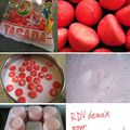 Yaourts aux fraises TAGADA
