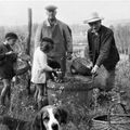 1940-2021 (12) - À la ferme, les vendanges