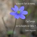 Quand l'amour grandit en toi 💜, La beauté fait de même 💜...