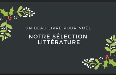 Un beau livre pour Noël: Notre sélection littérature !!