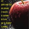 Jacques 1:12 - face à la tentation (Verset Illustré)