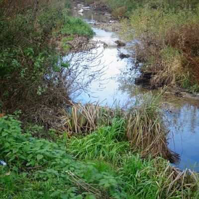 Echappée urbaine le long de l'Yzeron