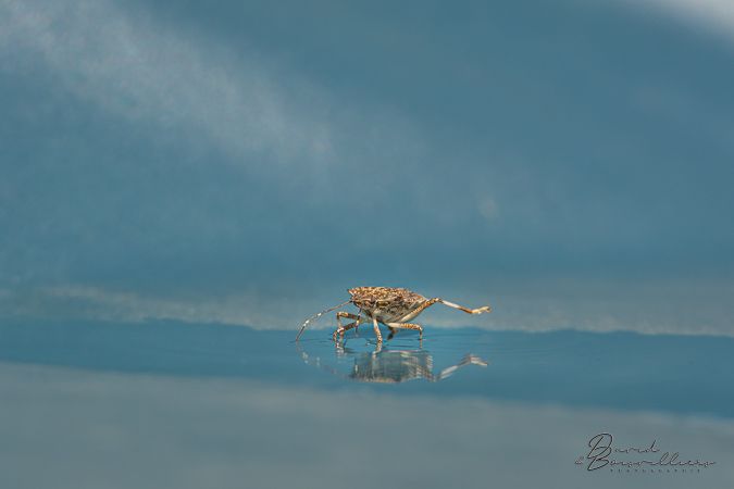 Diaporama des photographies exposées.