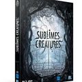 Sortie du DVD et Blu Ray Sublimes Créatures le 3 juillet 2013 en France