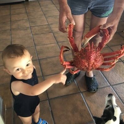 Prises sur le vif...