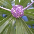 Pendentif Boule