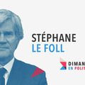 DIMANCHE EN POLITIQUE SUR FRANCE 3 N°60 : STEPHANE LE FOLL