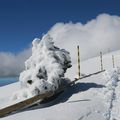 Sommet du Mont Ventoux le 7 Mars 2018