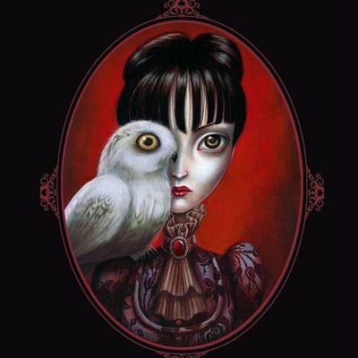 Les contes macabres - Benjamin Lacombe