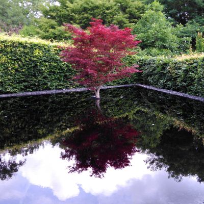 Tant qu'il y a du souffle...