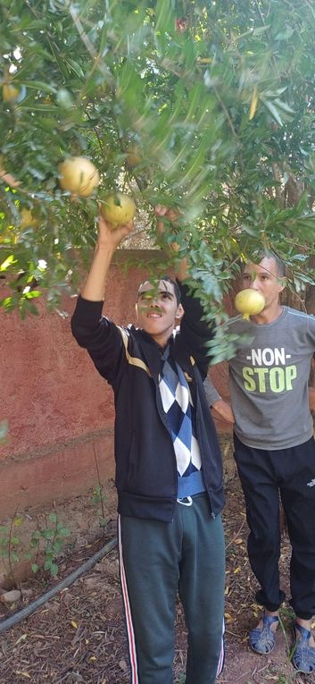 Confiture de grenades du jardin vendredi 10 au temps d'accueil à Ourika Tadamoune