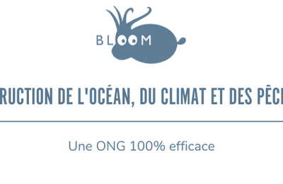 Bloom : Les objectifs de protection sabotés par la France - Montréal - Bloom: Protection objectives sabotaged by France