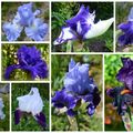 tour du jardin