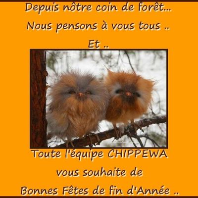 UN JOYEUX NOËL A TOUS ! MERRY CHRISTMAS !