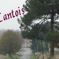 20141214 Cantois