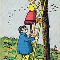 la cueillette des .......