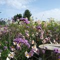 En passant par le Bois de Vincennes : le Parc floral