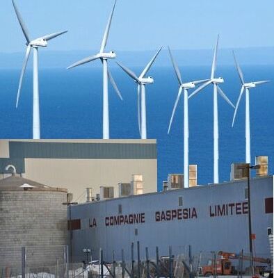 Après Gaspésia, Éolia ?