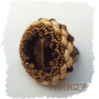 Tica en oeil de tigre