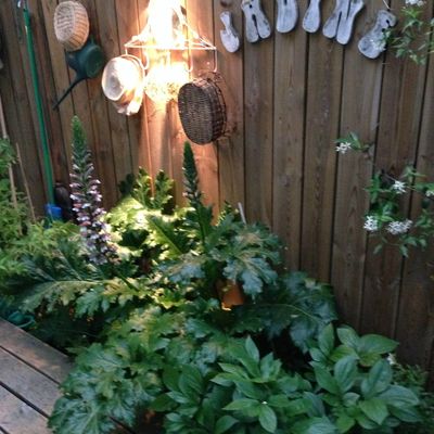 35 Ans d'un jardin en jardins