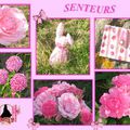 Senteurs du jardin