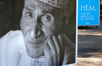 HLM, l'autre merveille du monde... à la Forêt de Montgeon (2/2)