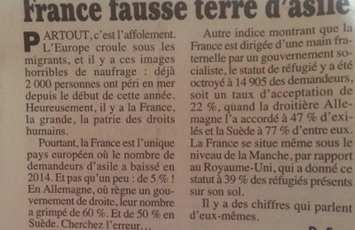 "France fausse terre d'asile"