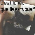 C'est lundi, que lisez-vous? # 23