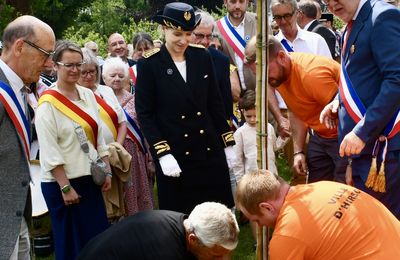 DANS LE PARC DE L’HÔTEL DE VILLE, L’ARBRE DE LA LIBERTÉ, L’AUTRE SYMBOLE RÉPUBLICAIN.