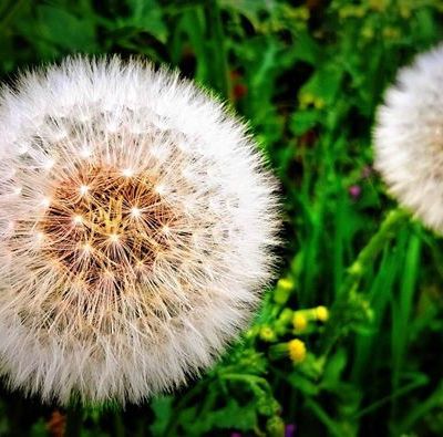 Rando des 3 châteaux - photographies - 2014 