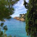 "CALANQUE (bis)...