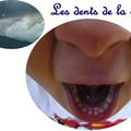 LES DENTS DE LA MER