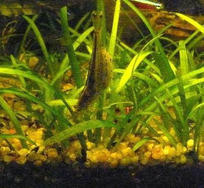 Photos du bac Décembre 2007