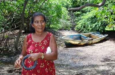 Vie et combat des femmes pêcheuses de l'île de Chira