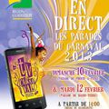La Région Guadeloupe propose de suivre en Direct les parades du Carnaval 2013 avec la mise en place de TV Carnaval