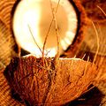 L'histoire de la noix de coco