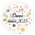 Bonne année 2023