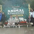 Disney 02 : Animal Kingdom