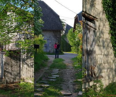 Petits pois-carotte!